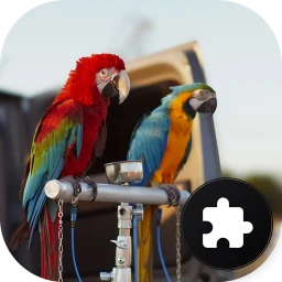 Parrot Jigsaw Puzzle 아이콘